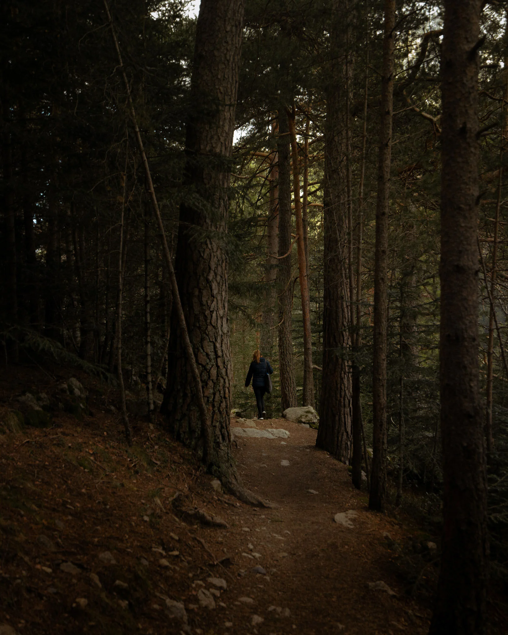 Spanish Mountains.jpg