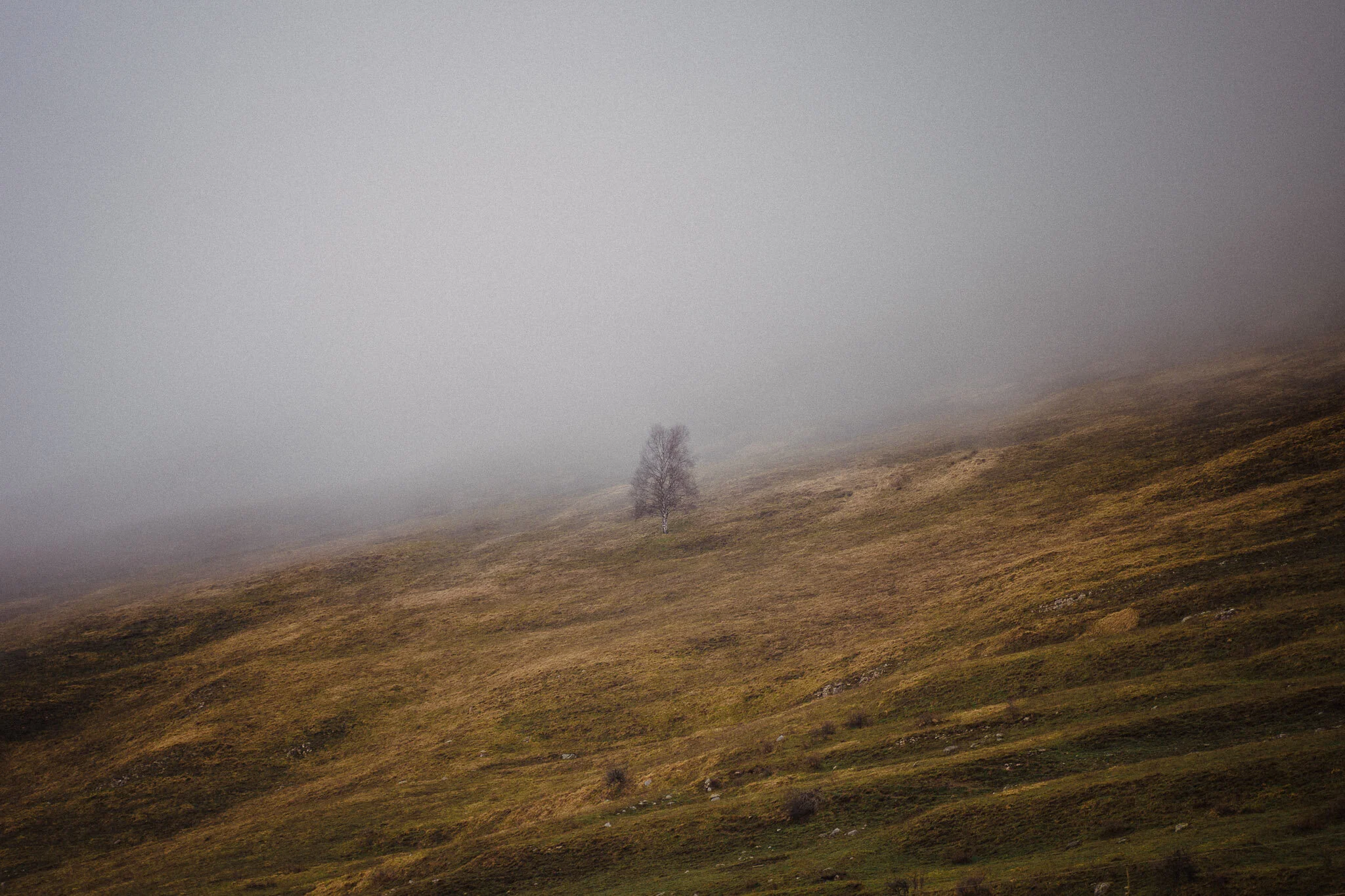 Spanish Mountains-7.jpg