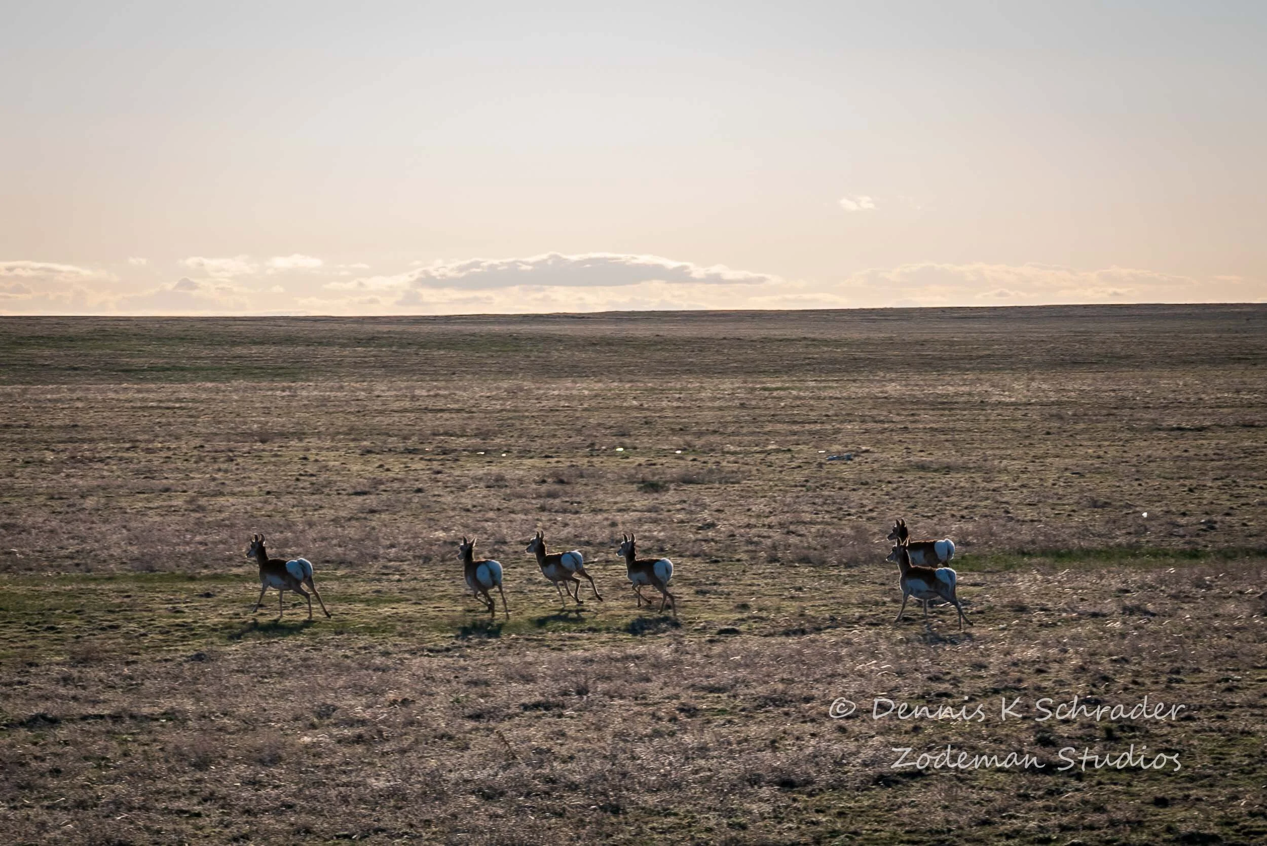 Eastern Colorado Plains