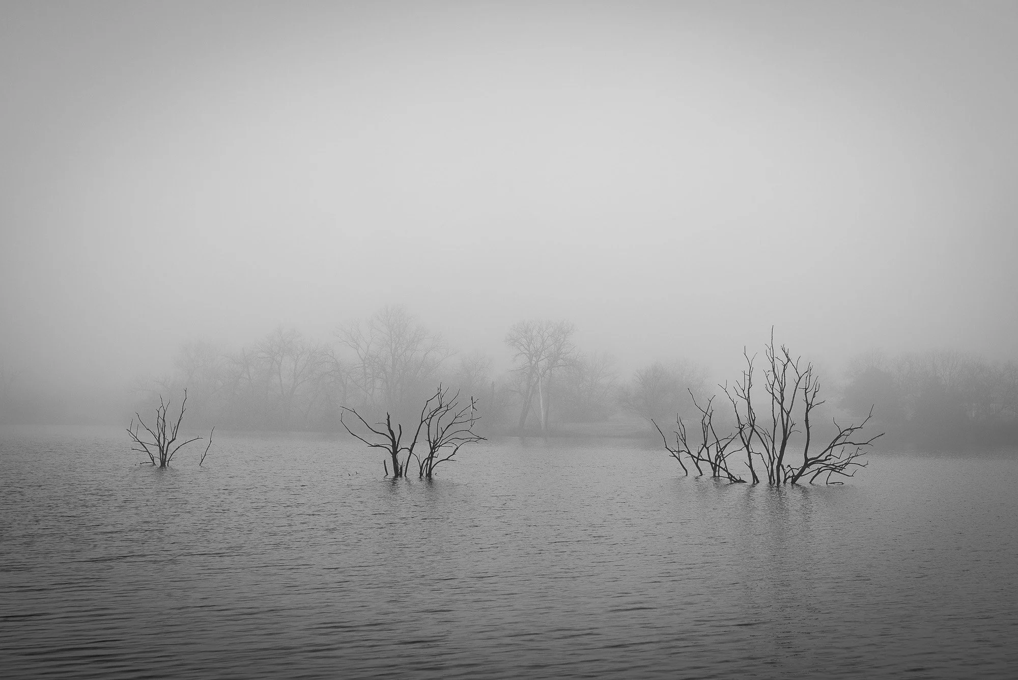 Distant silhouettes fading into fog