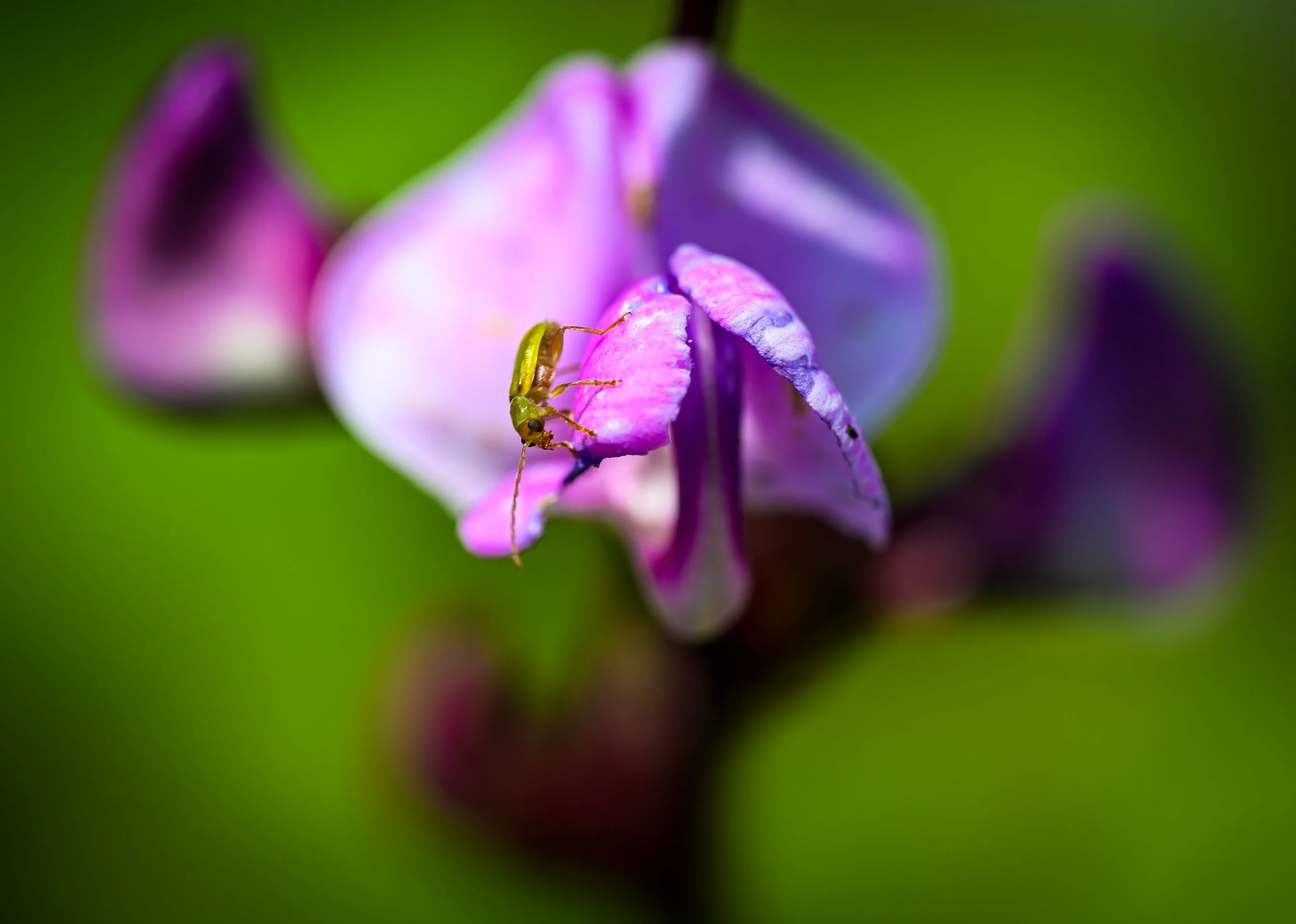 DSC_0097.jpg