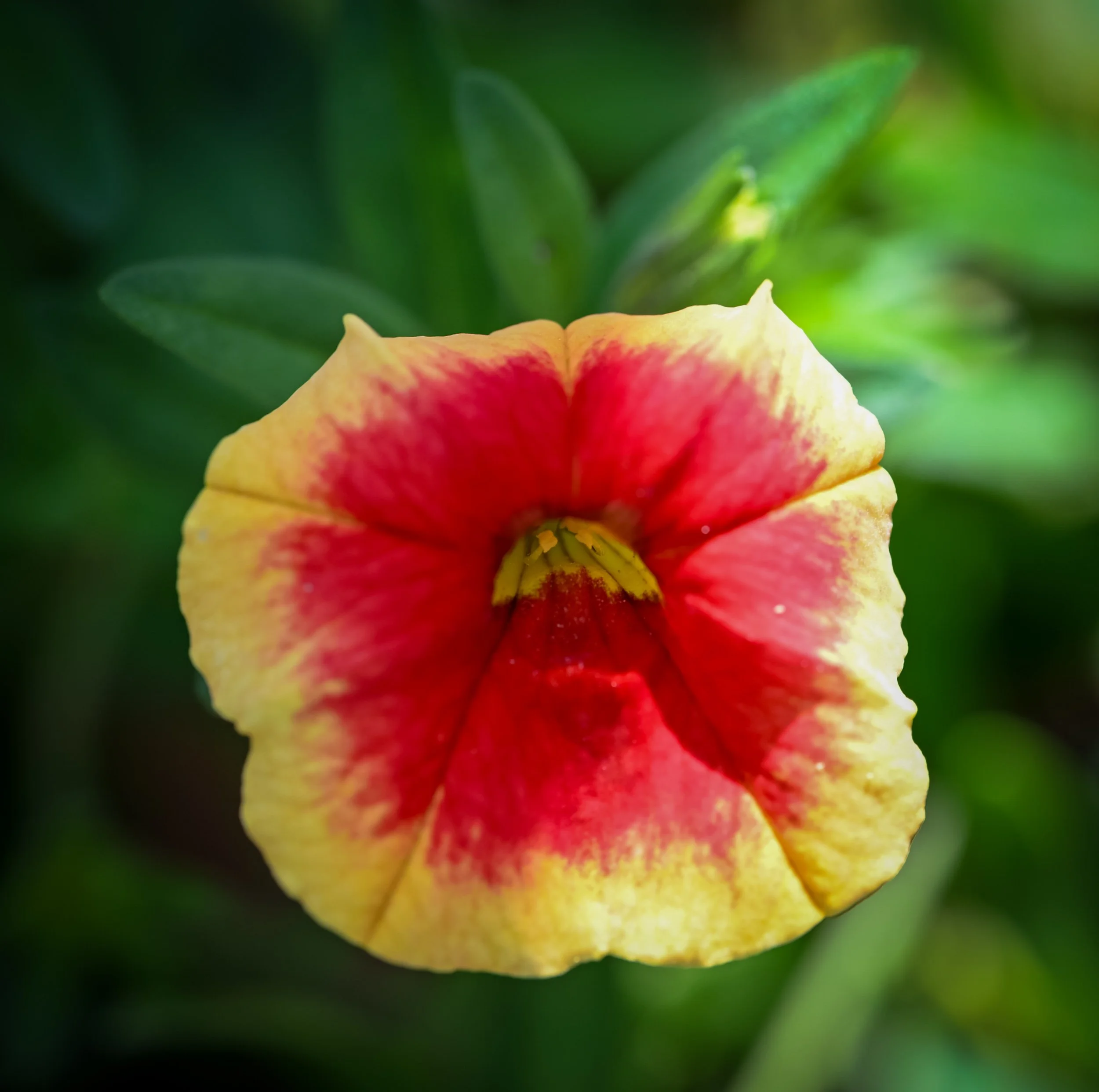 DSC_0049.jpg