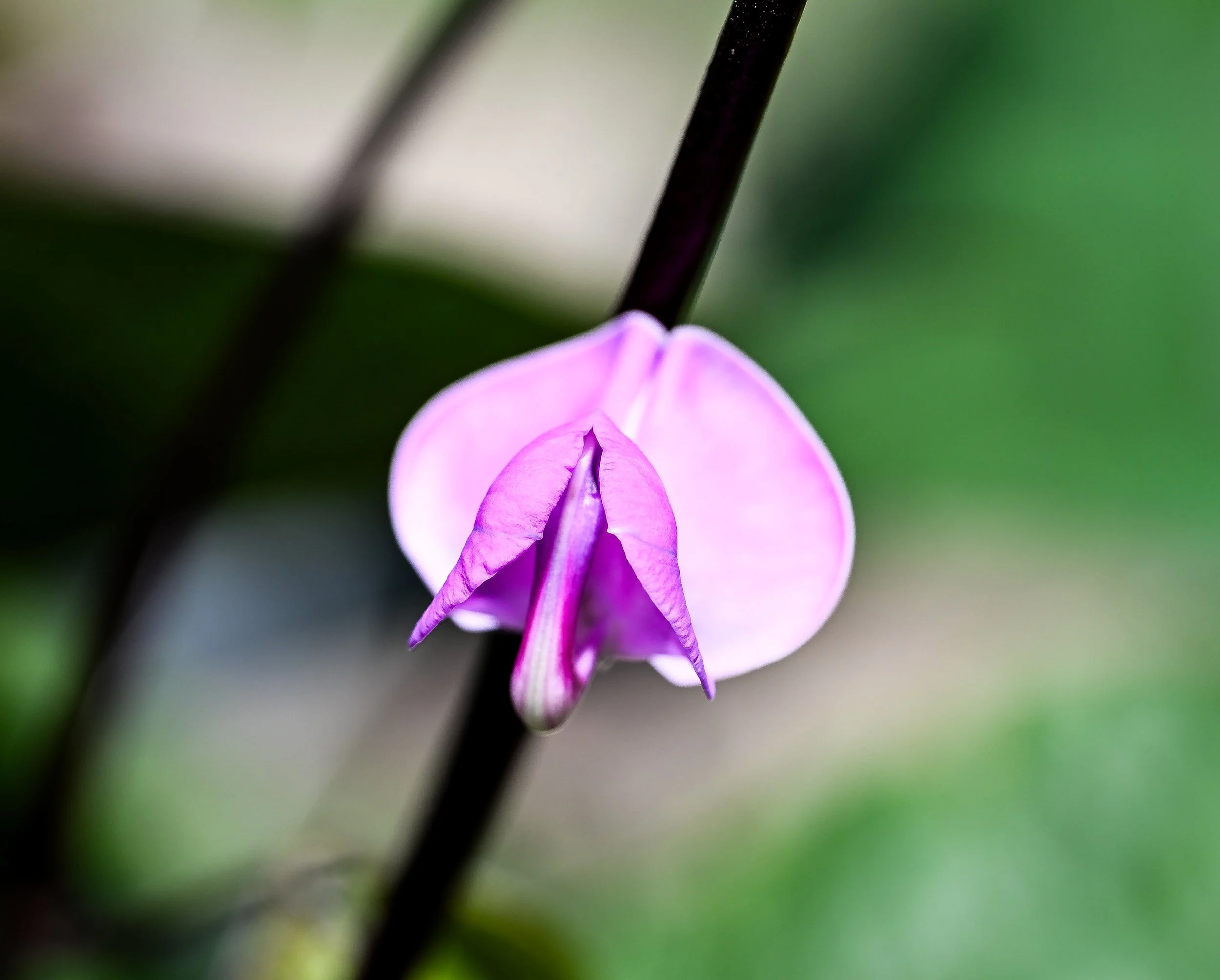 DSC_0093.jpg