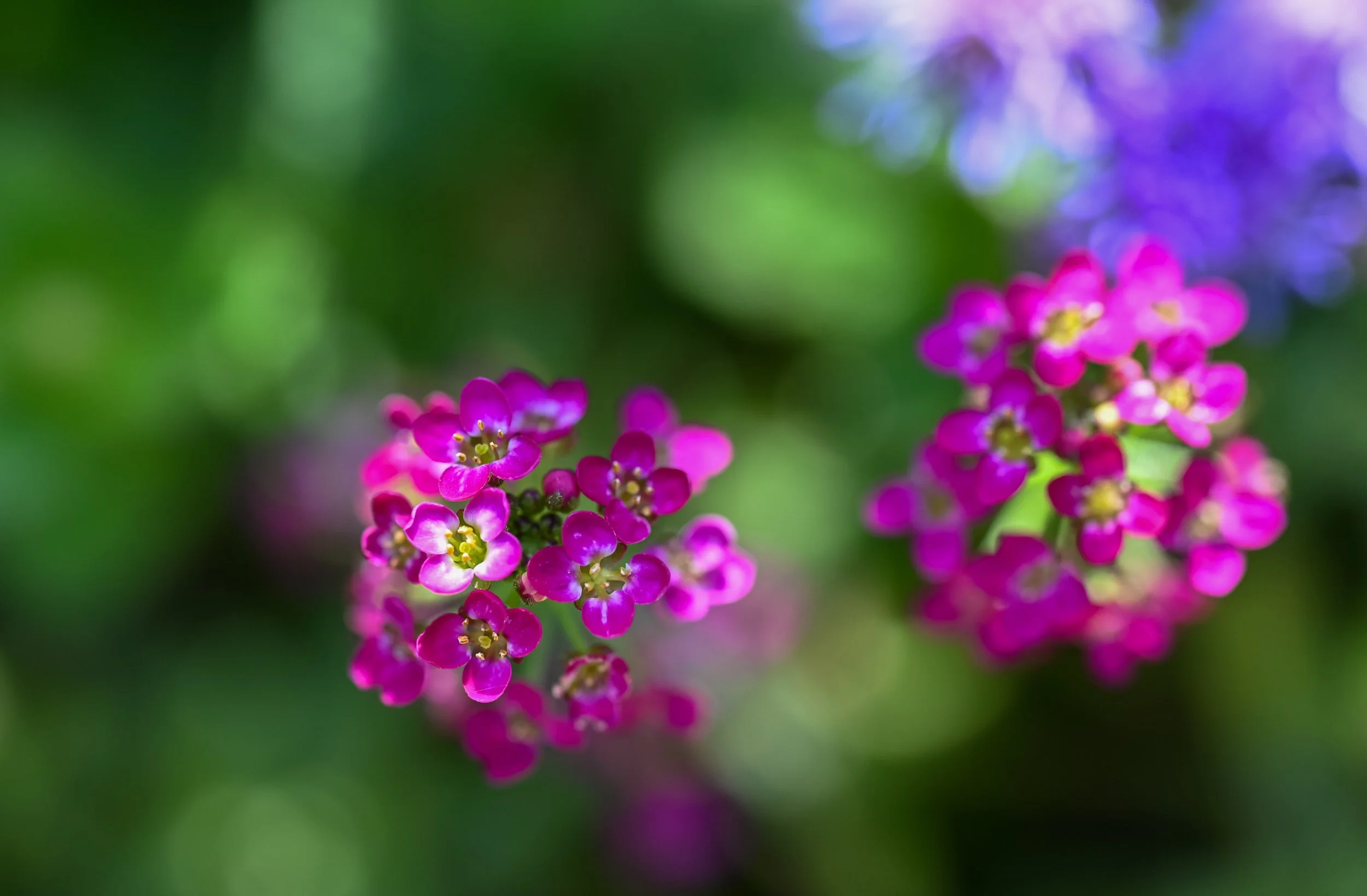 DSC_0046.jpg