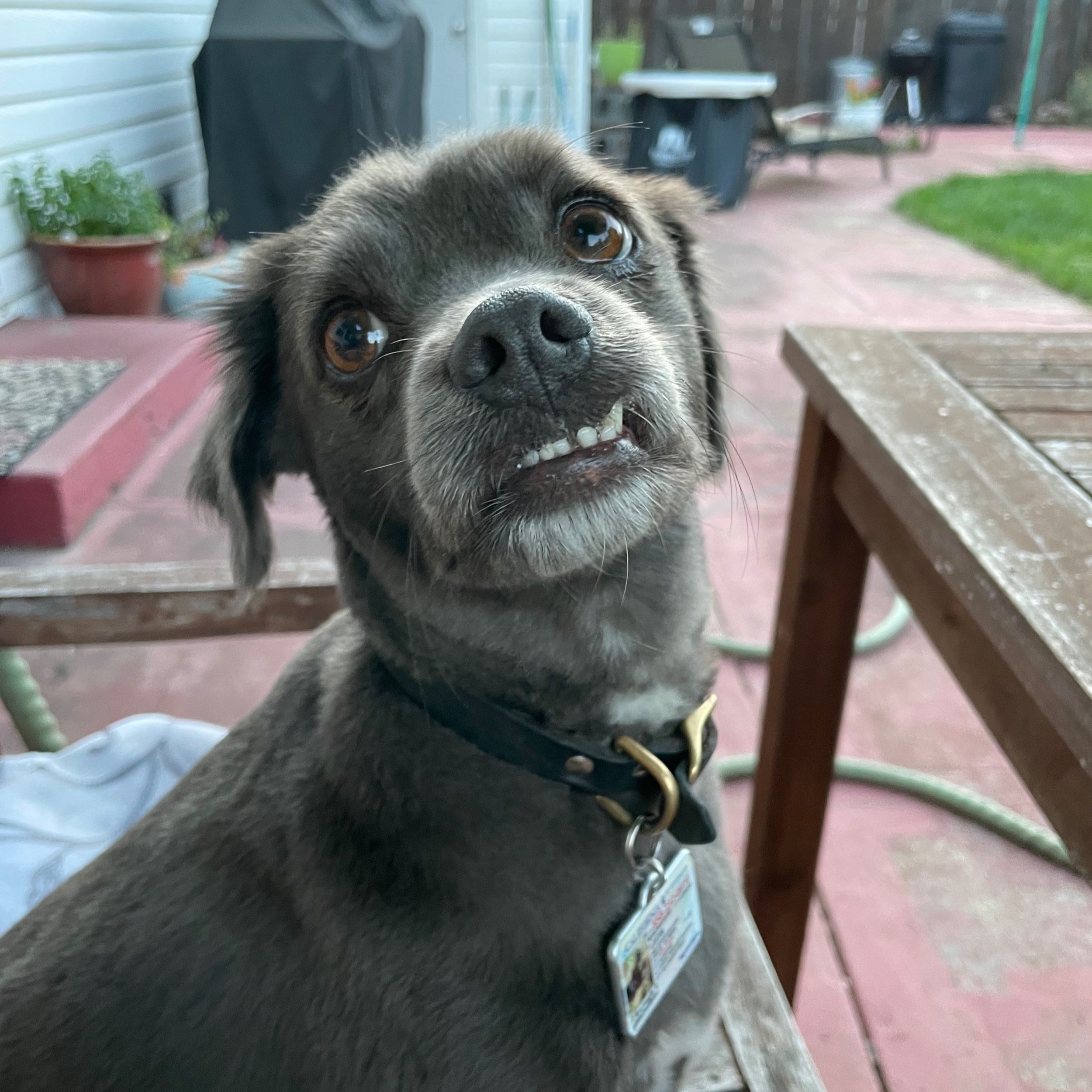 Interview w/Eran Zelnik on the Peace &amp; Justice Show