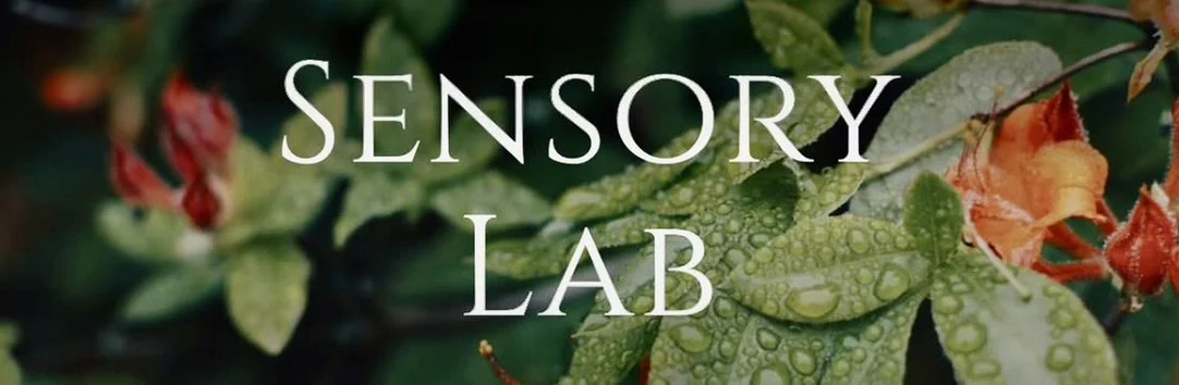 Sensory Lab | Technical Logistics