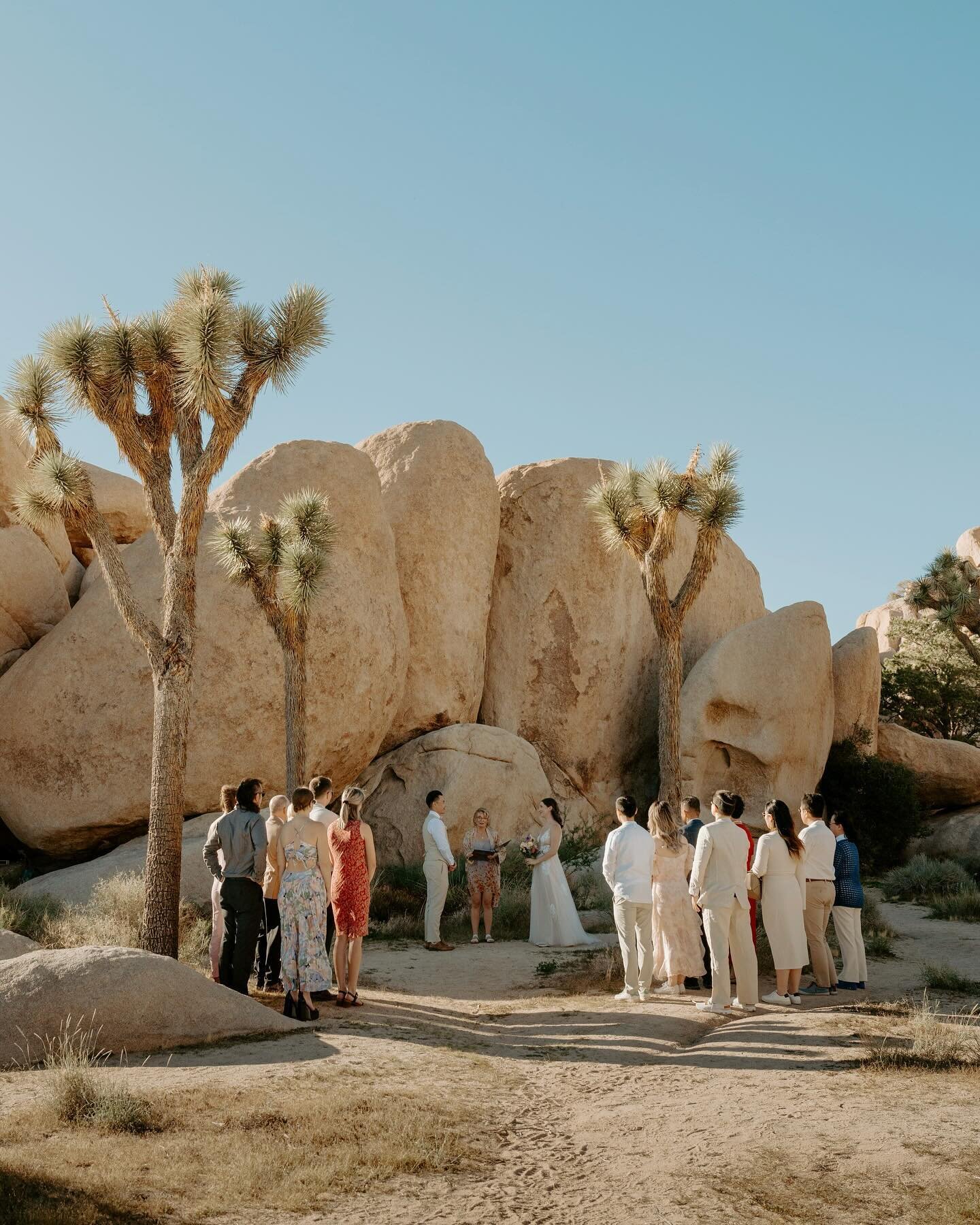 o + r in joshua tree ✨🥲

-

photographer: me!
florals: @wheelhouseofevents 
hmua: @beautybybueno 
private chef/catering: @desert.dine 
cake: @joshuatreecakery 
dress: @annakaraofficial 

#joshuatreeelopement #joshuatreeelopementphotographer #joshuat