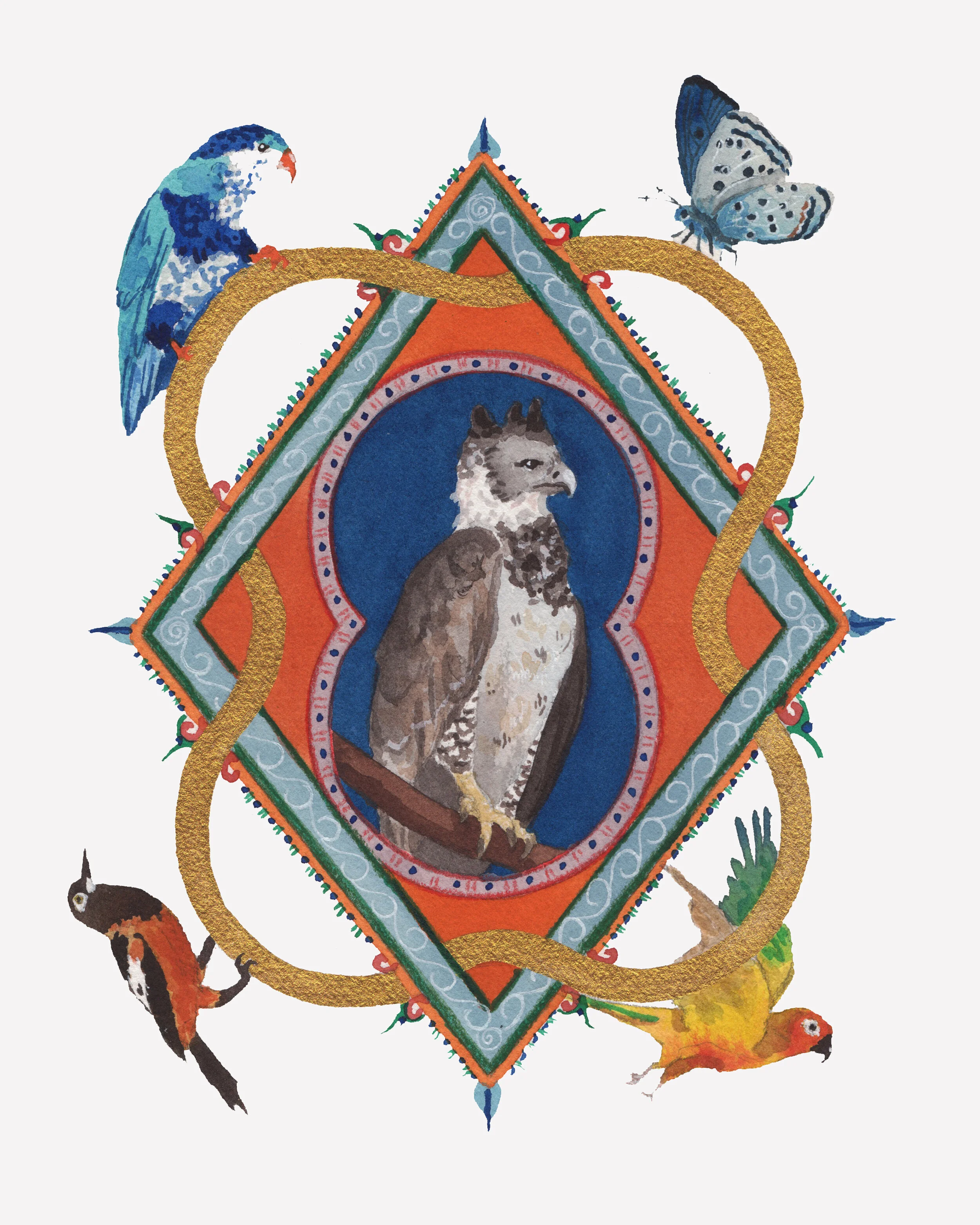 Flock Together, 2019,
Watercolor,
8” x 10”, 2019,
Ultramarine Lorikeet, Venezuelan Troupial, Sinai Baton Blue Butterfly, Harpy Eagle, Sun Parakeet.