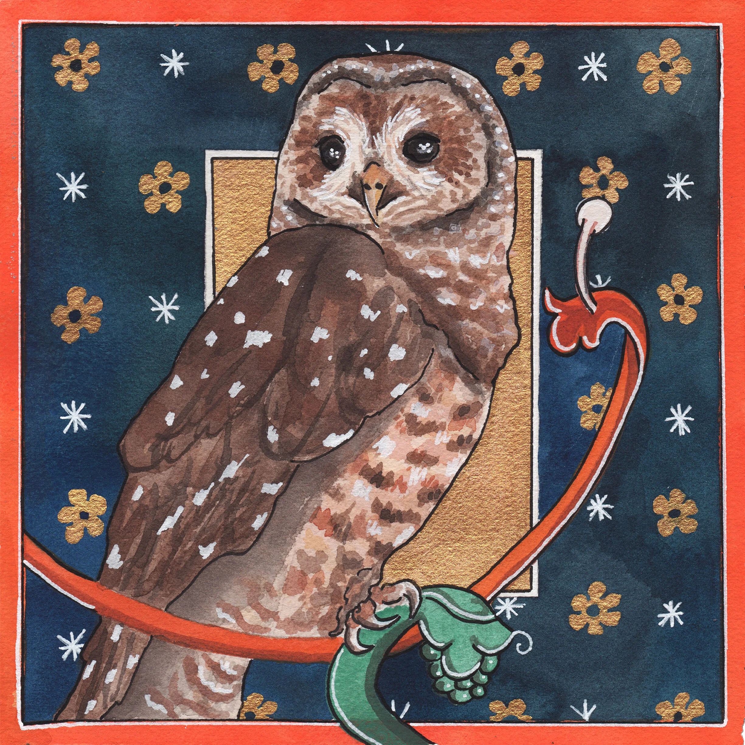 Preferring to live in darkness, 2019,
Watercolor,
7” x 7”,
Northern Spotted Owl.