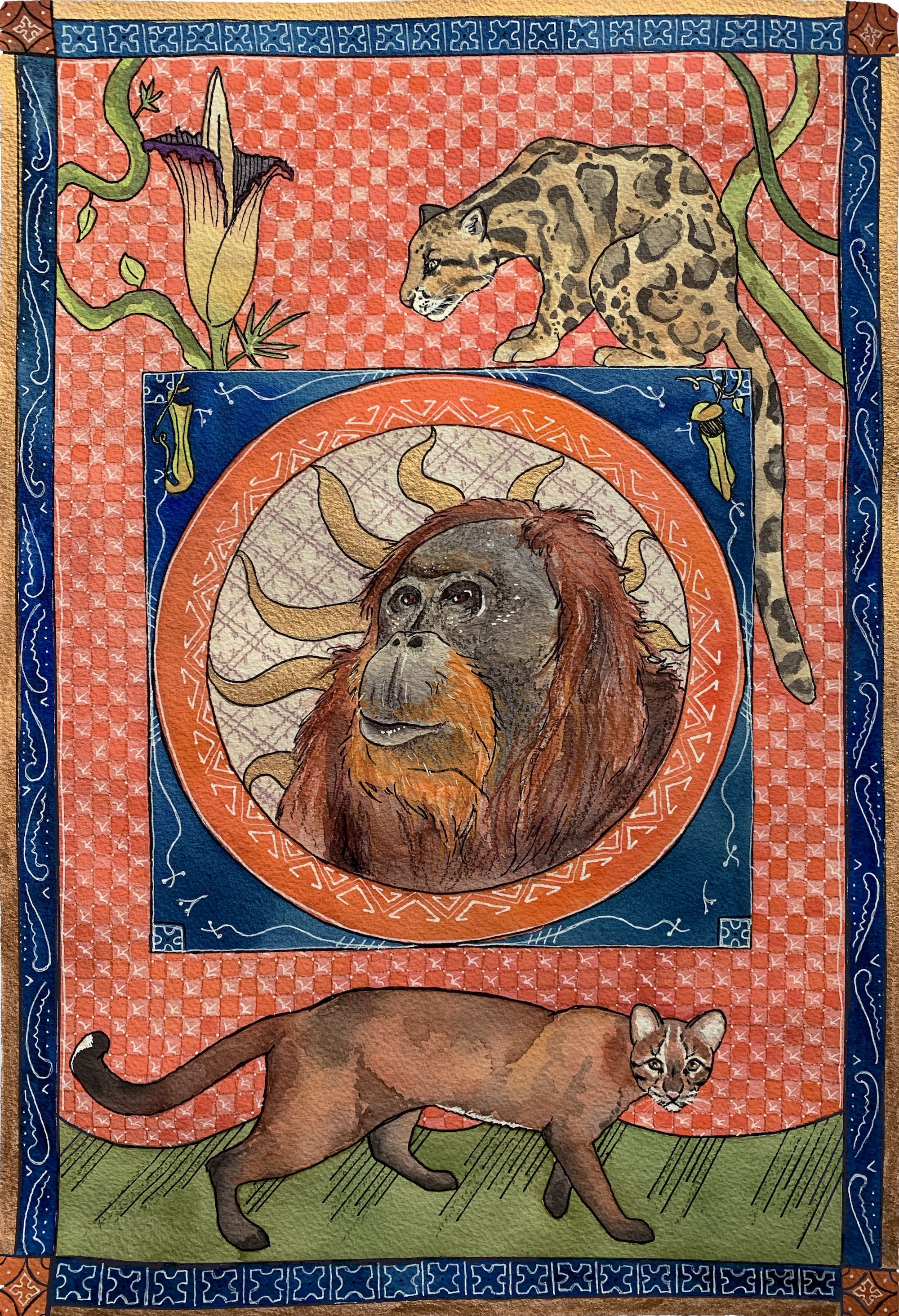 The Borneo Canticles, 2019,
Watercolor,
12” x 18”,
Sunda Clouded Leopard, Borneo Bay Cat, Bornean Orangutan.