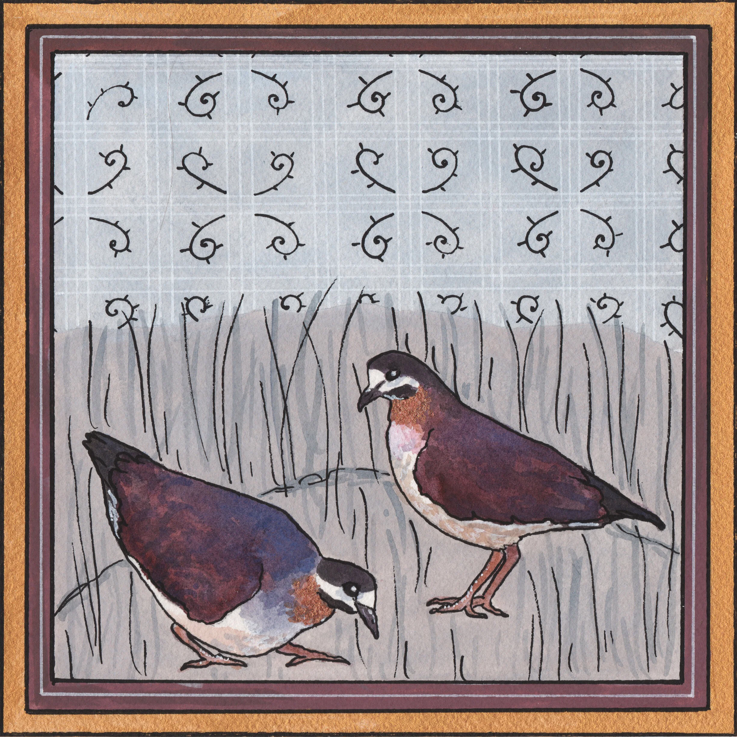 Clothed in Purple Majesty, 2020,
Watercolor and gouache,
7”x 7”,
Purple Quail-Dove.
