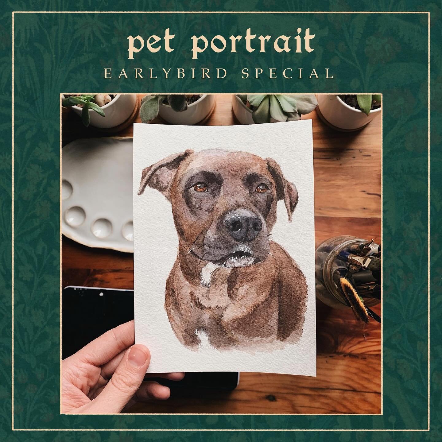 It&rsquo;s that time of year! 🐶🐱🐴🐰🦜 The annual earlybird special is here! Get 10% off when you order pet portraits October 1-15. Ordering early helps small shops like mine take on the hectic busyness of the season! We&rsquo;re able to take on mo