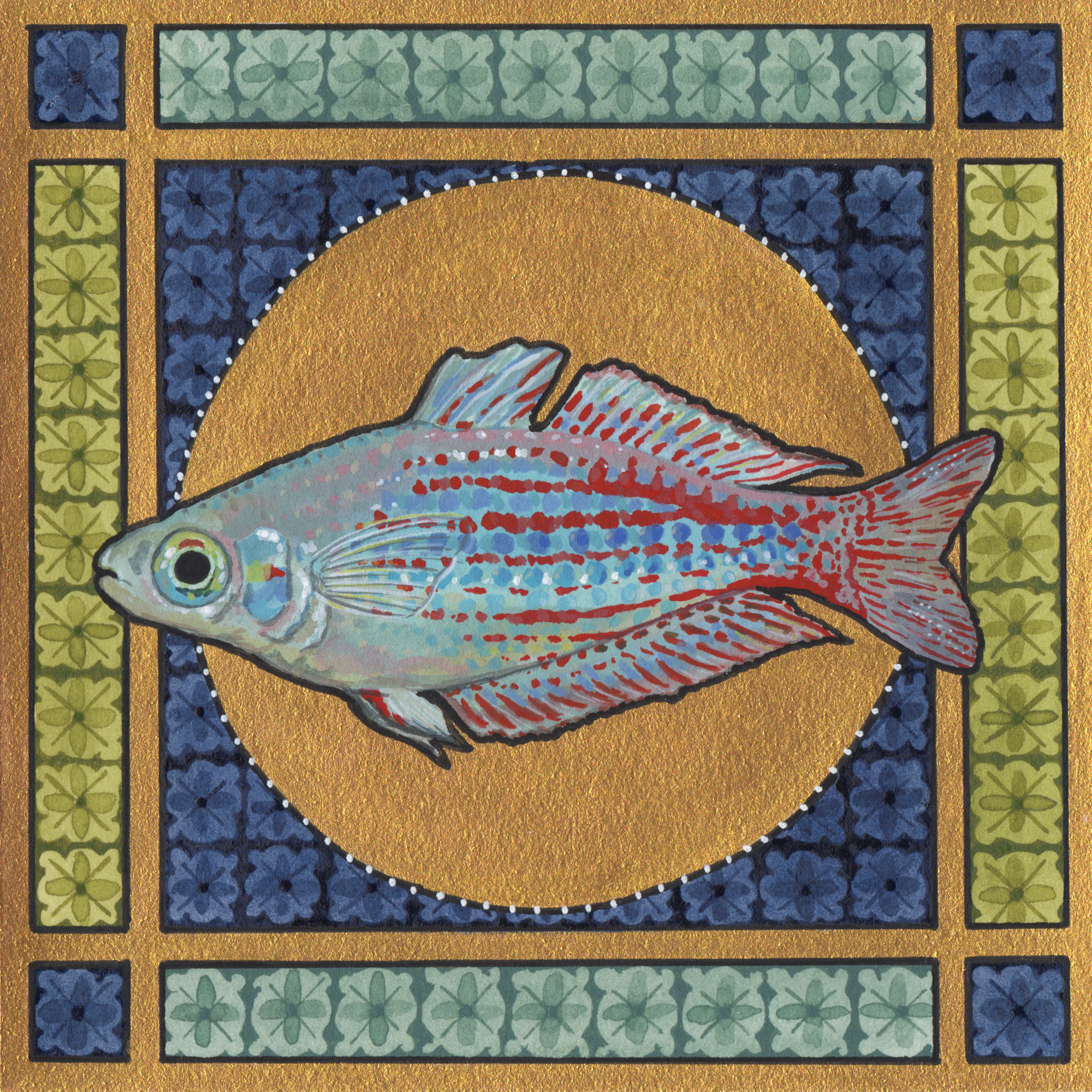 Miniature I, 2026,
Watercolor and gouache,
5” x 5”,
Utchee Creek Rainbowfish.