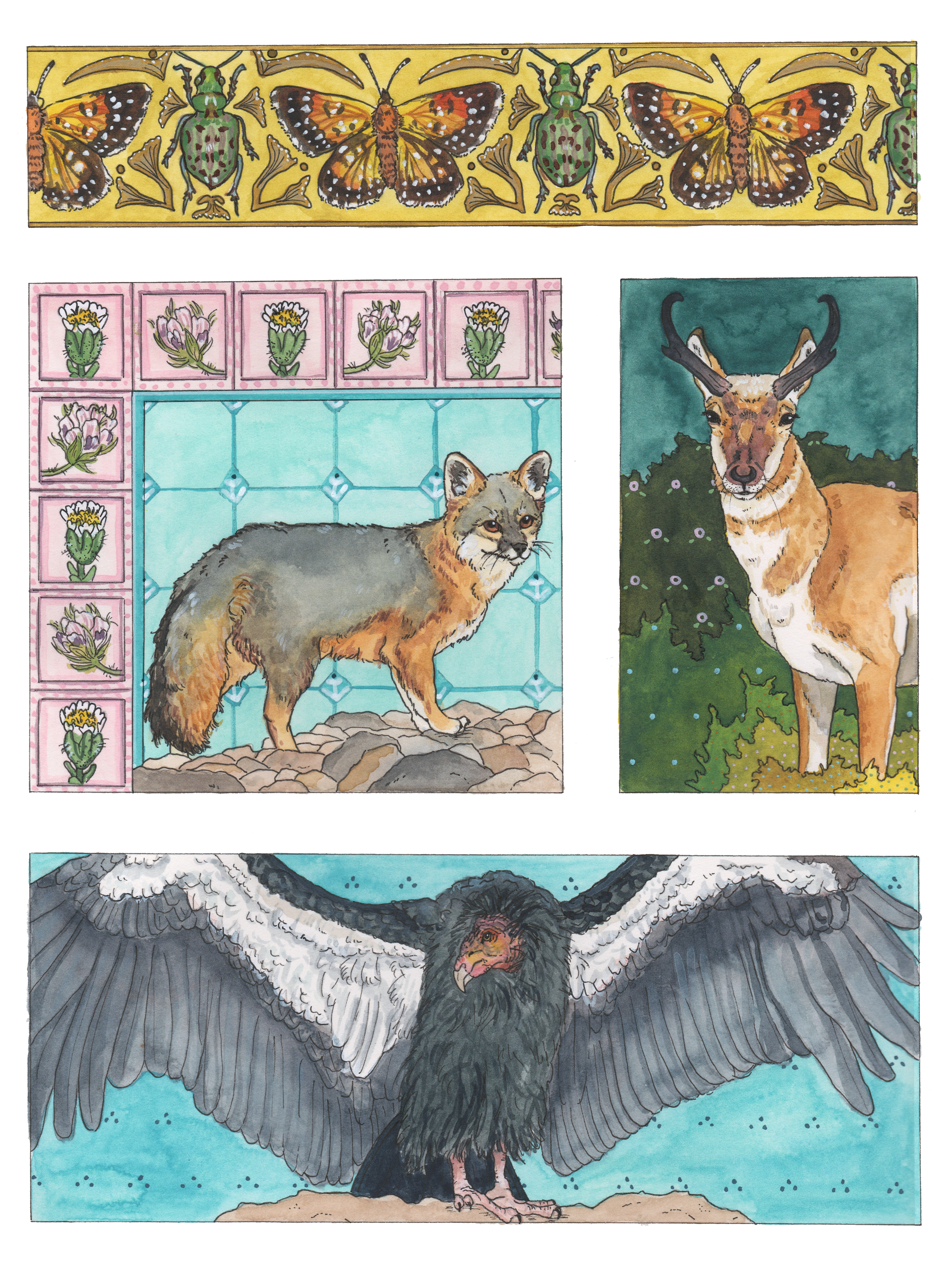 Eureka (Art Nouveau States 1), 2024,
Watercolor and ink,
9" x 12”,
American Pronghorn, Island Fox, California Condor, Delta Green Ground Beetle, Lange’s Metalmark Butterfly.