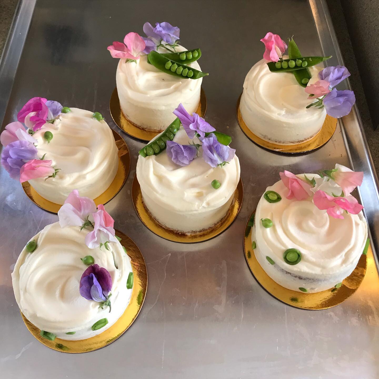 Sweet pea mini cakes from spring. Pea chiffon layers, strawberry filling, Floral chantilly frosting. 
.
.
.
.
.
.
#cake #cakes #cakesofinstagram #cakedecorating #cakedesign #instagramcakes #pastry #glutenfree #glutenfreecake #gfcake #glutenfreepastry