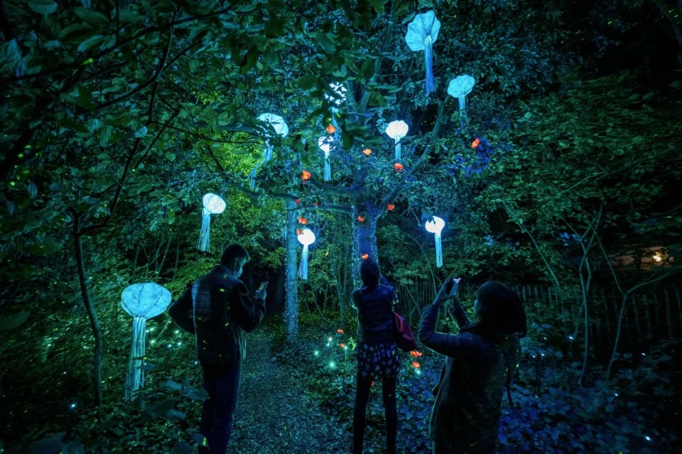 Crédit Moment Factory