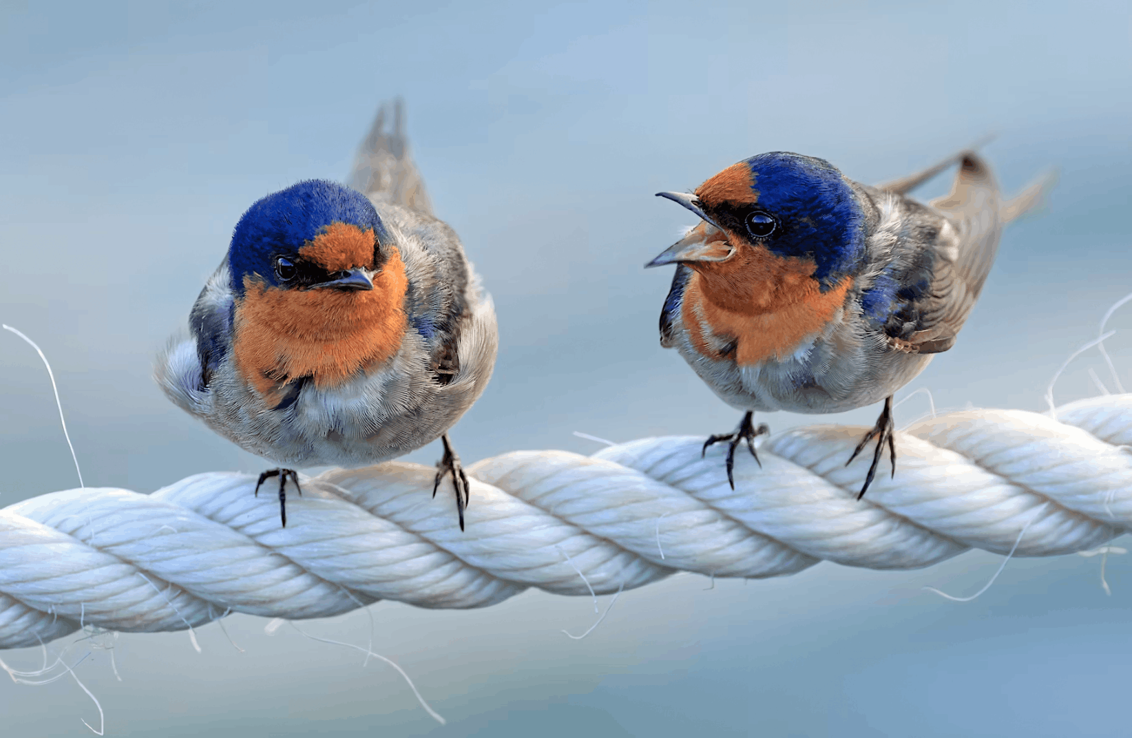 Building Startups Around Cynics