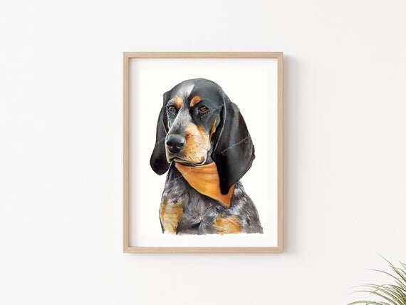 https://i.etsystatic.com/24147108/r/il/33523a/2729839317/il_570xN.2729839317_nn1q.jpg
