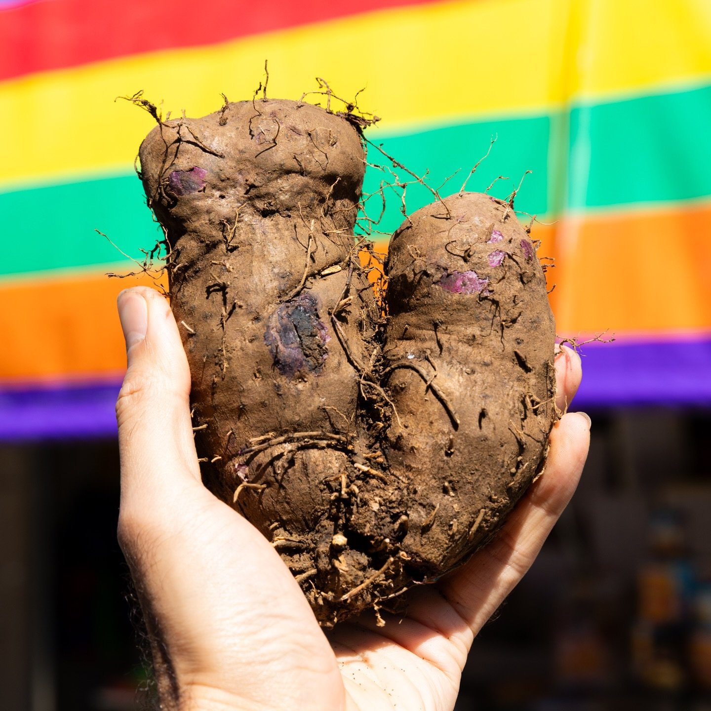 🎄 Maligayang Pasko / Merry Christmas ✨

Why a picture of an Ube you ask? First is because we found this AWESOME raw Ube at the palengke (market) in Bulalacao, Mindoro Philippines 🇵🇭! Second, our whole team is away from the kitchen on break and get