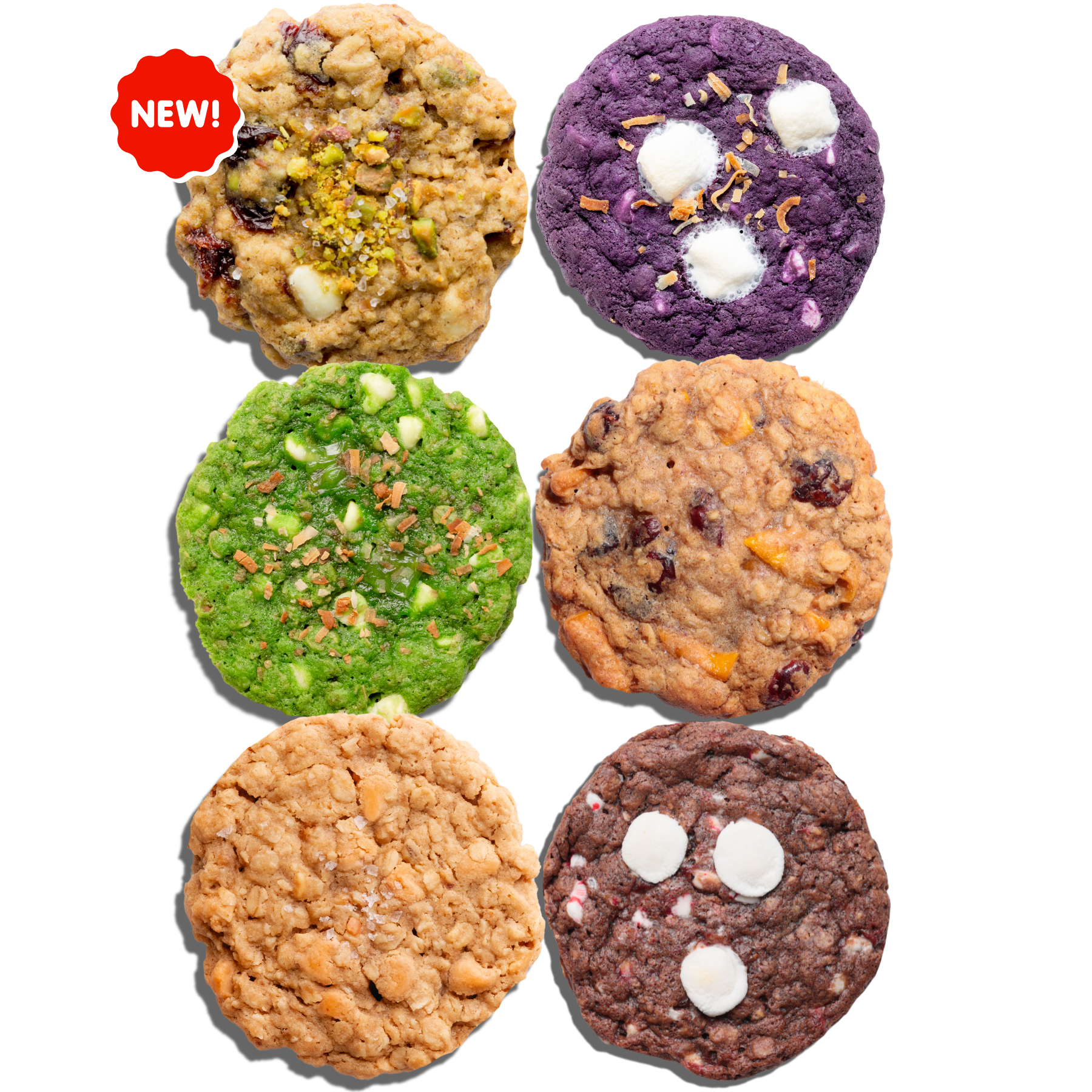 6-PACK HOLIDAY BOXES