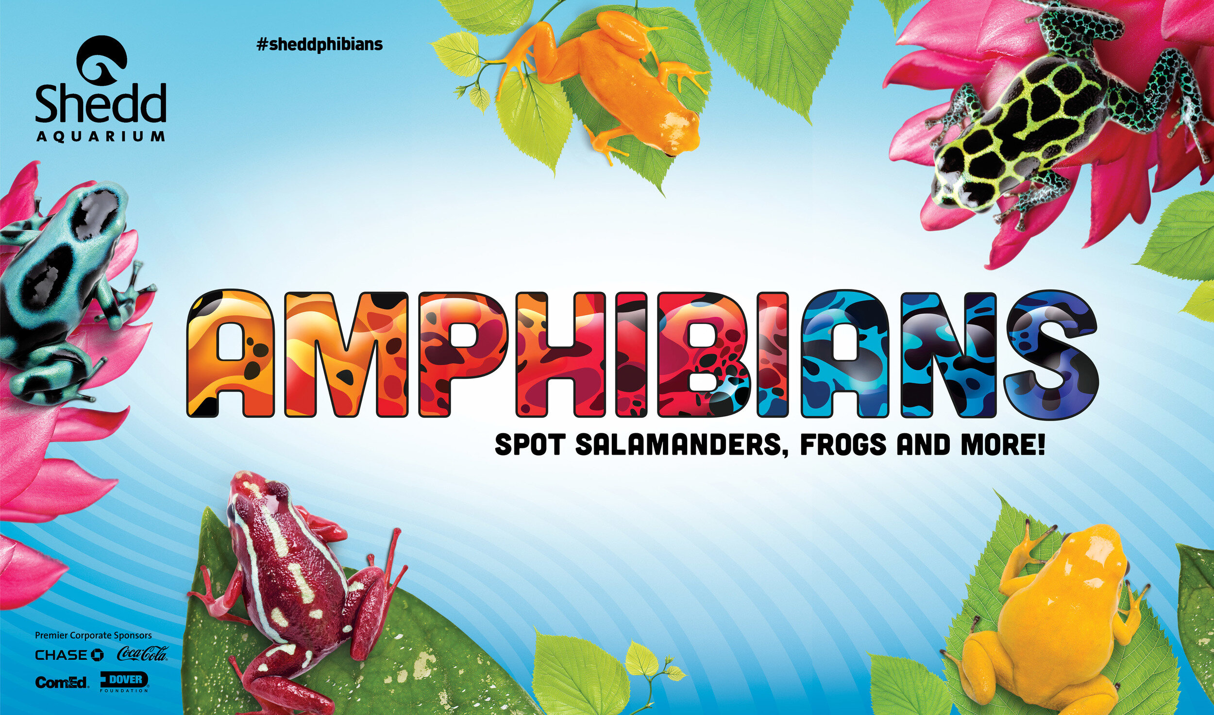ADV1623_Amphibians_Bus_Shelter_Full_Wrap_LR.jpg