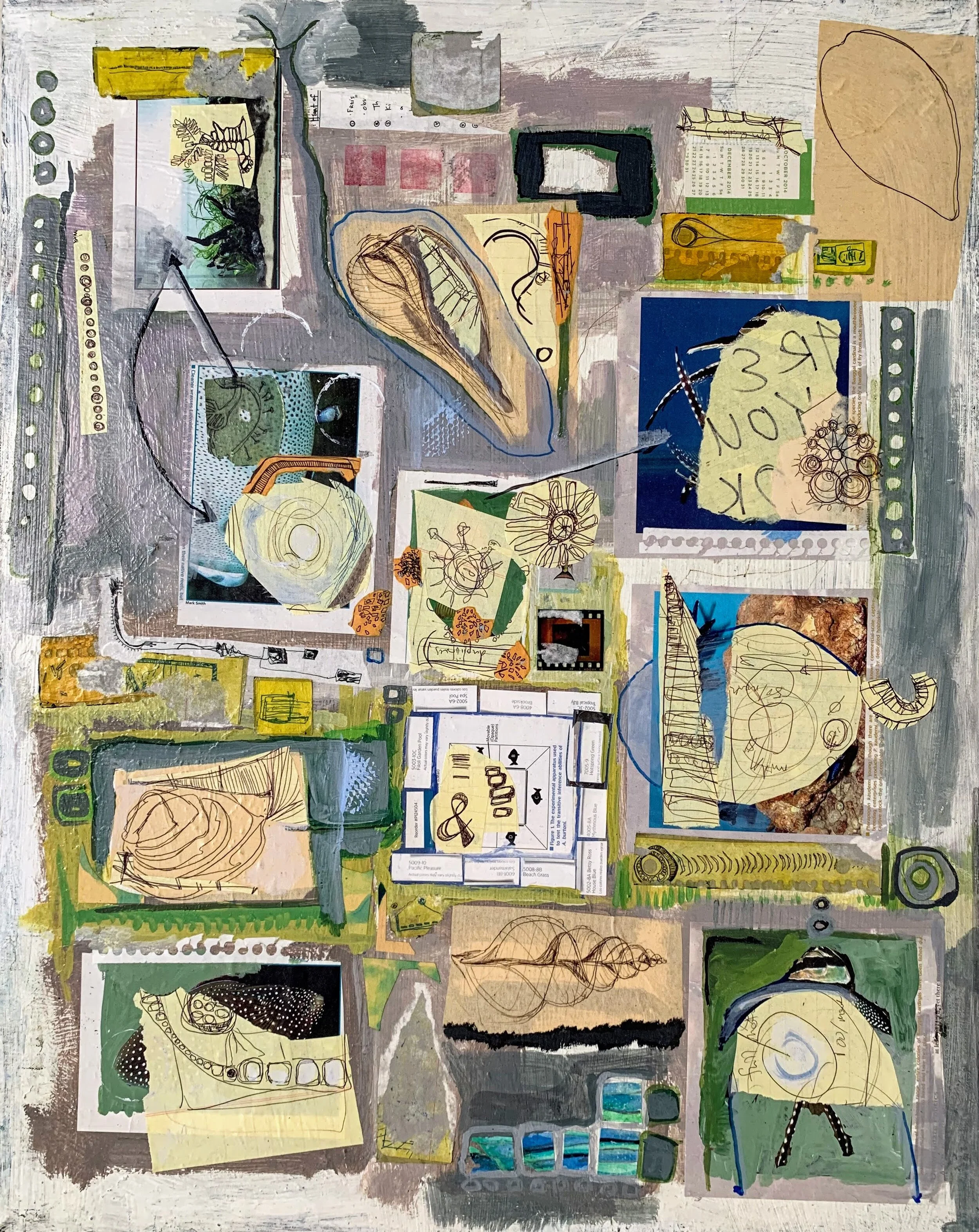 Making Plans for Evolution, 24"x36"