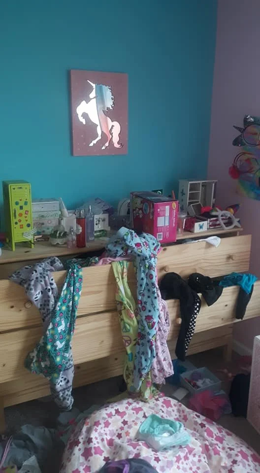 lissy's room before.jpg