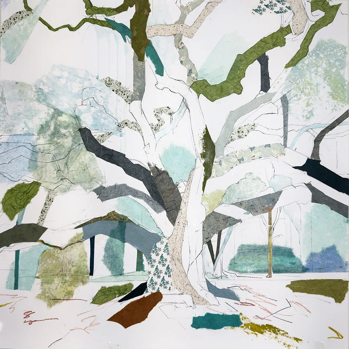 32° 52’ 24” N 80° 05’ 05” W 
  Magnolia Plantation Oak VIII (Coils)
  Charcoal, pencil, acrylic, watercolor, Lokta, Chiri, Unryu mulberry, Mango, Banana Leaf, Tengujo, and Katazome papers, washi tape on paper
  36 inches x 36 inches on panel
