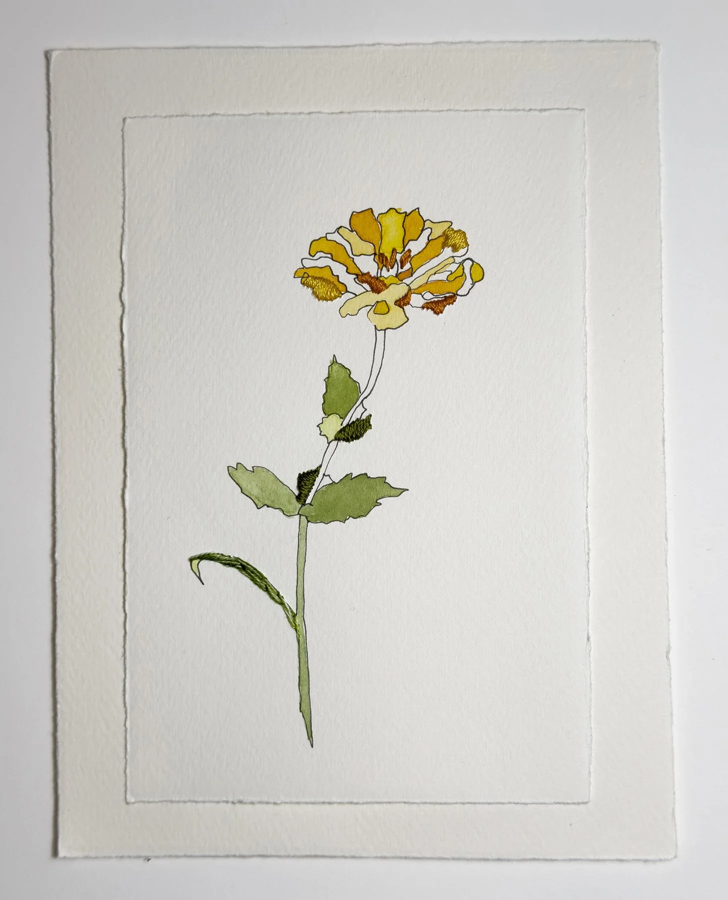 Marigold II 2 of 3.jpg
