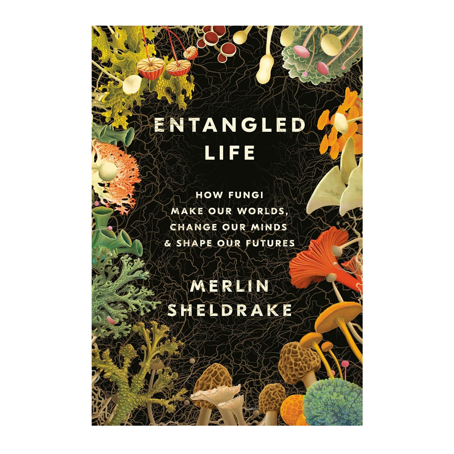 Entangled Life Sheldrake.jpg