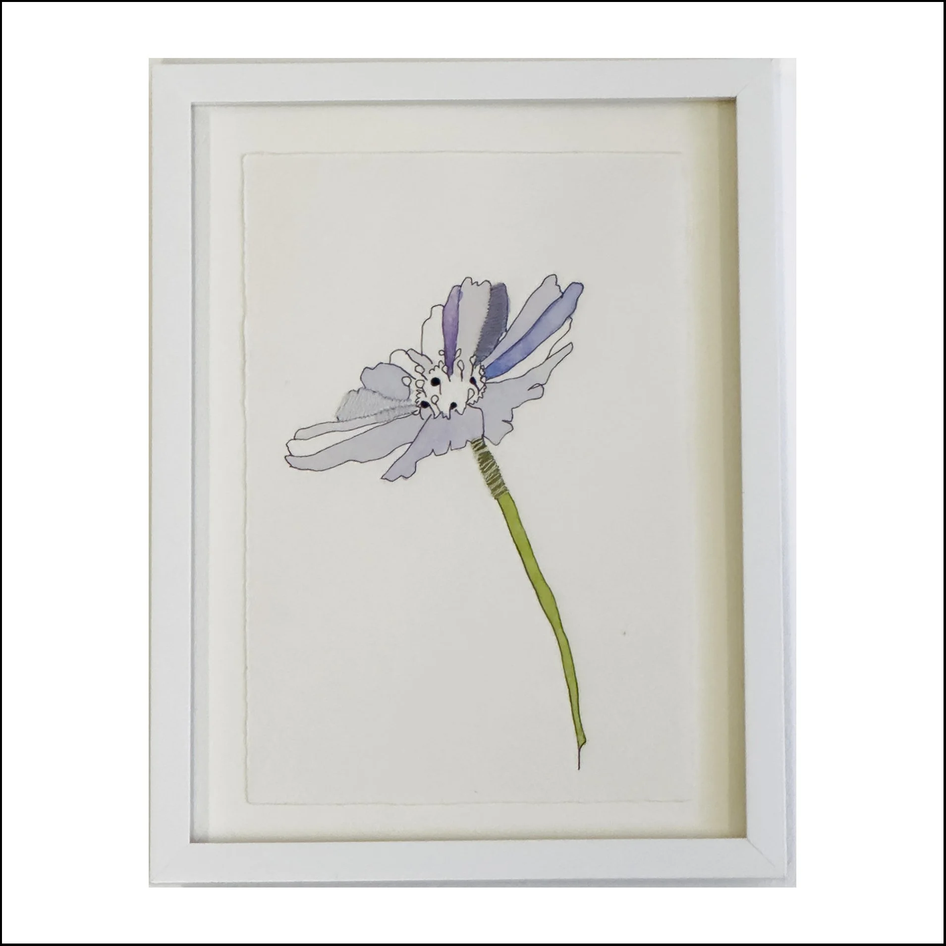 Purple Cosmos 1 of 3 Border Web.jpg
