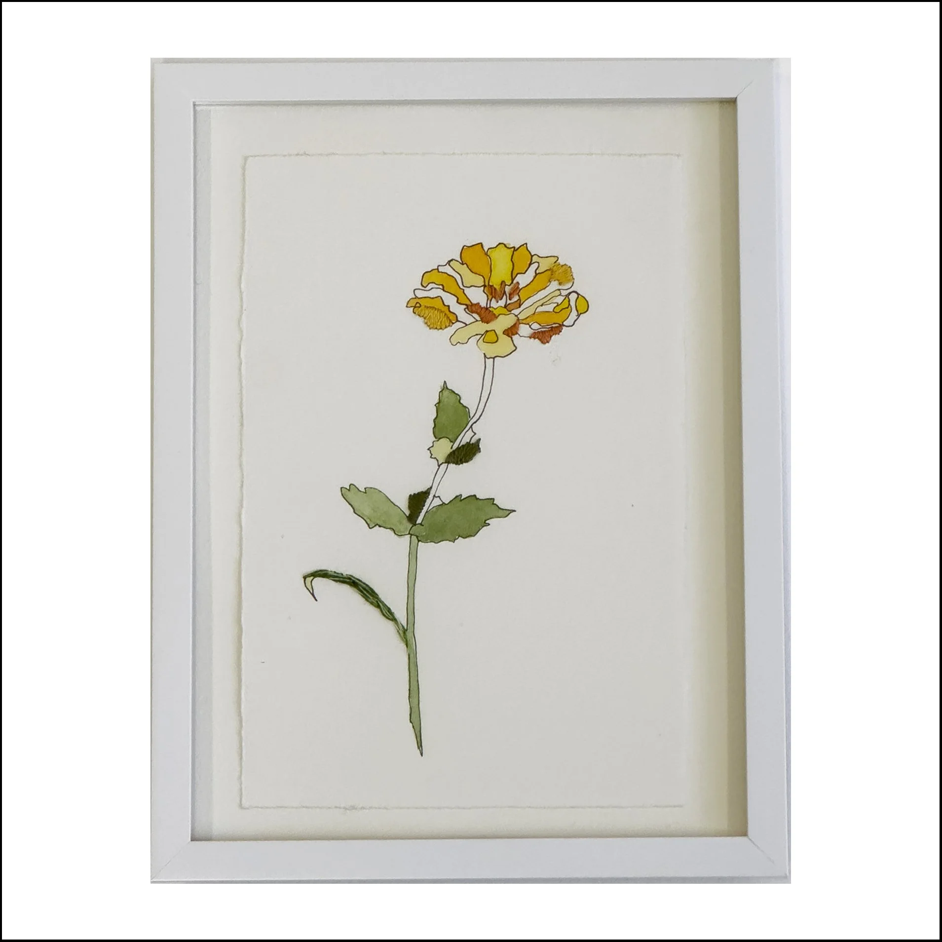 Marigold II 1 of 3 Border Webii.jpg