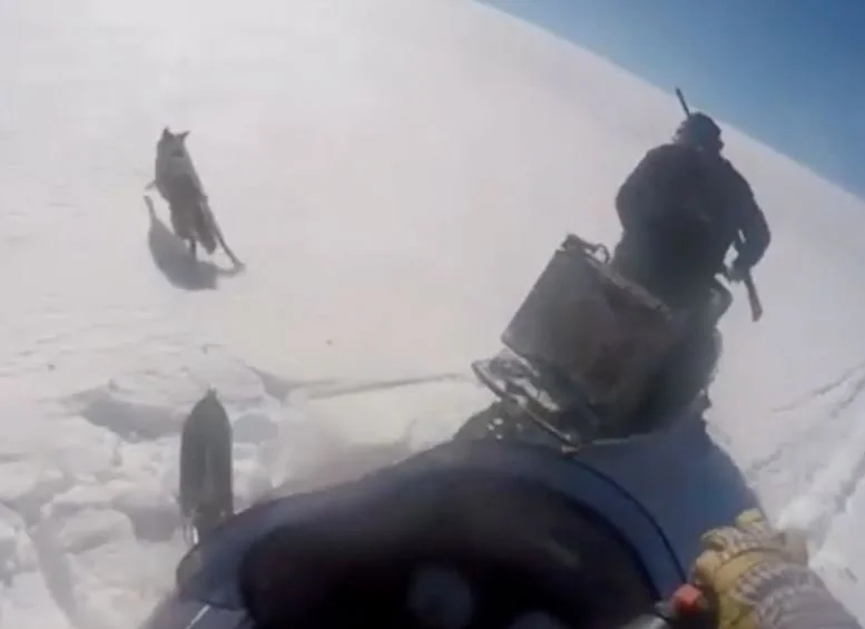 Wyoming allows snowmobilers to run down wildlife. despite global outrage, it may stay legal