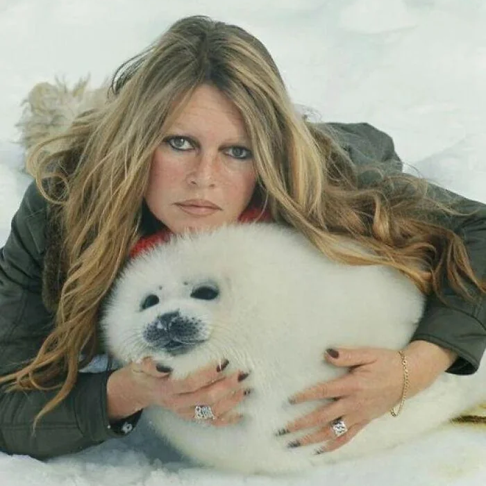 Brigitte Bardot, a Seal of Approval—And Wyoming Critters in Distress&nbsp;