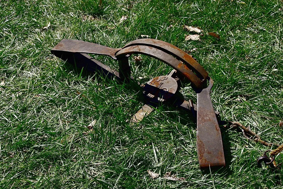 Trap Release Workshop Offers Trap Release Skills to Save Pets&nbsp;