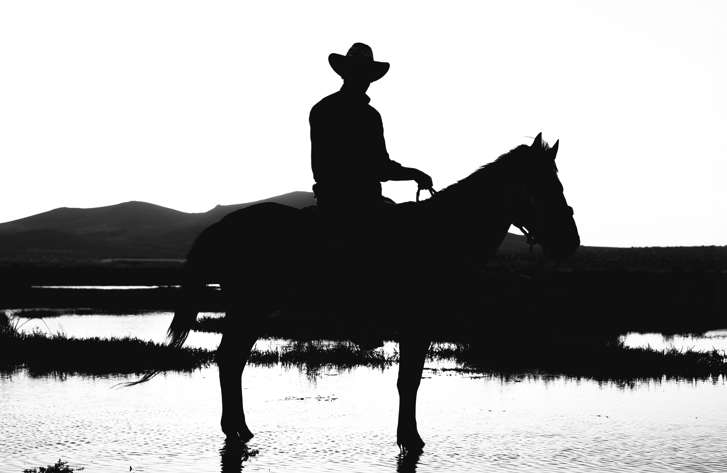 A Code of the West for Animals