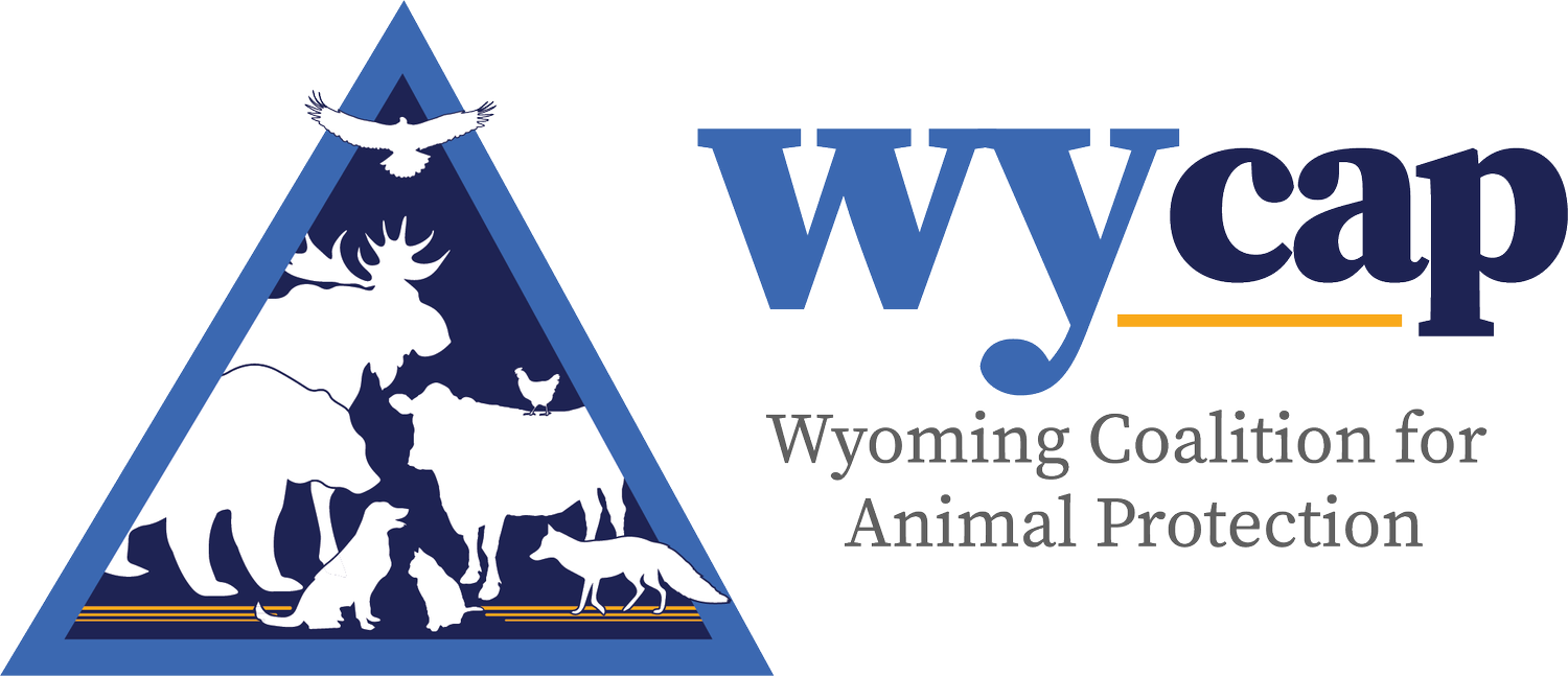Wyoming Coalition for Animal Protection (WYCAP)
