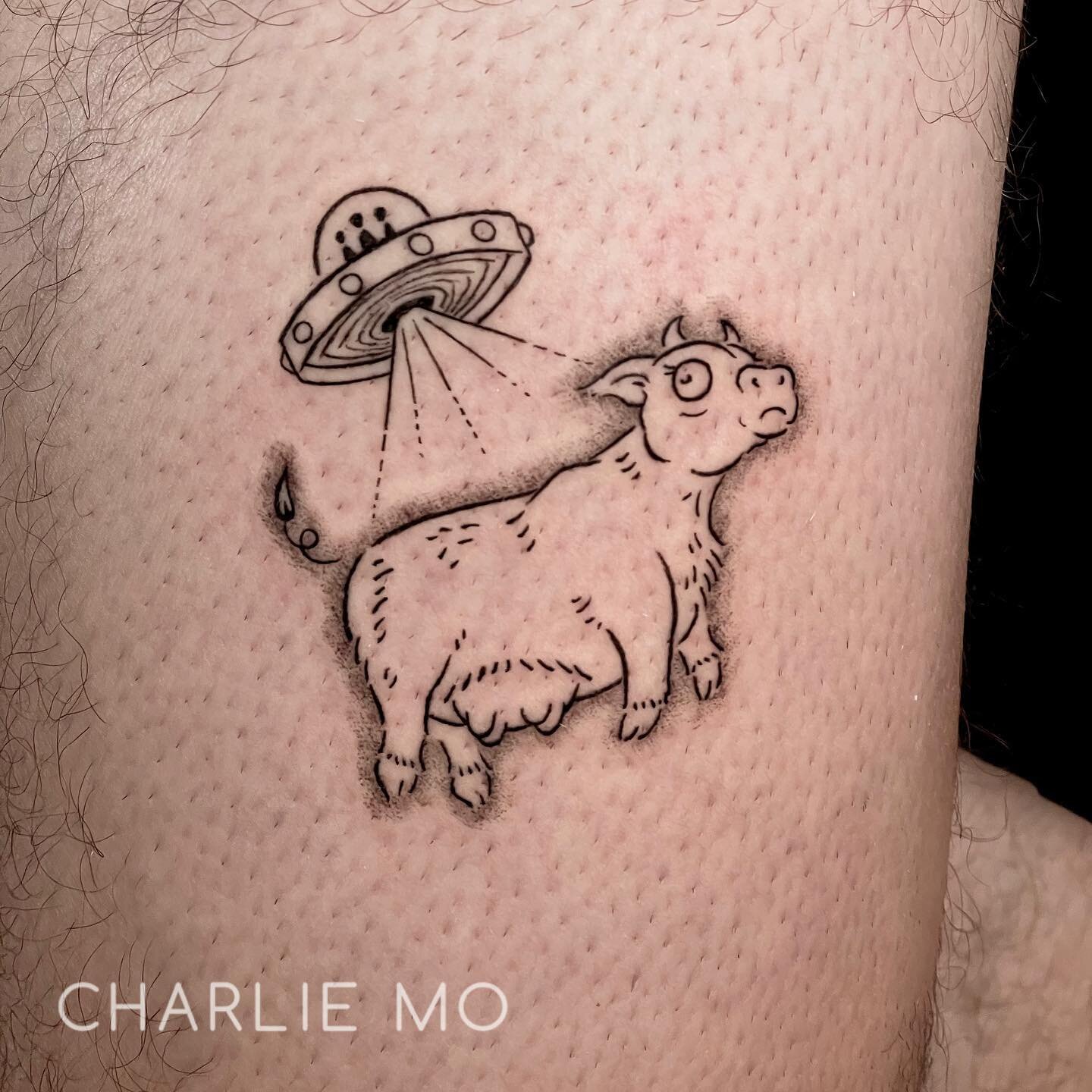 Another one of my ufo cow repeatable flash adopted! Thank you so much William~ 

#flashtattoo #bayareatattooartist #drawing #blacktattoo #illustration #cutetattoo