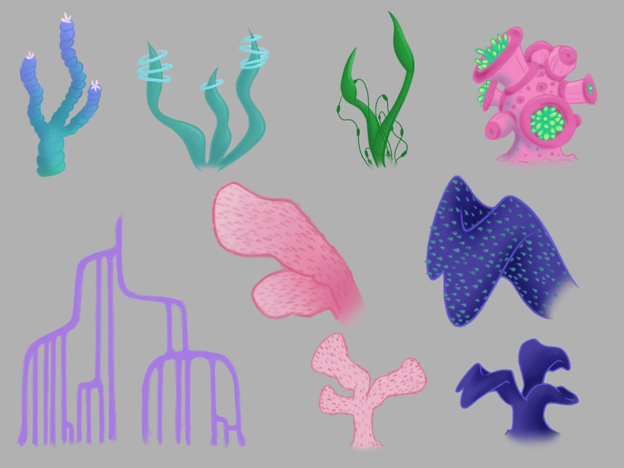 Coral designs.jpg.jpeg