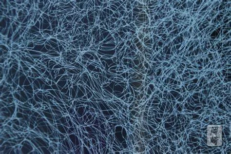  Impressions of the Sea , 2016 
Ballpoint Pen on Paper 