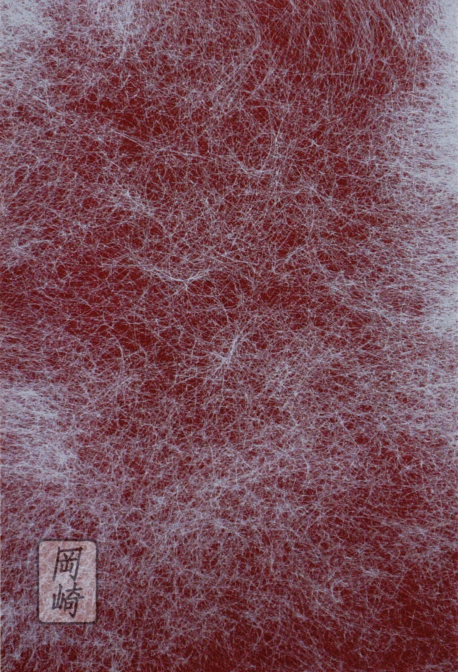  Bound by Restrictions , 2017 
Ballpoint Pen on Paper 