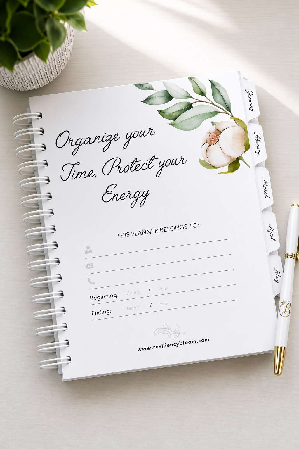 Organize Time, Protect Energy Pic.PNG