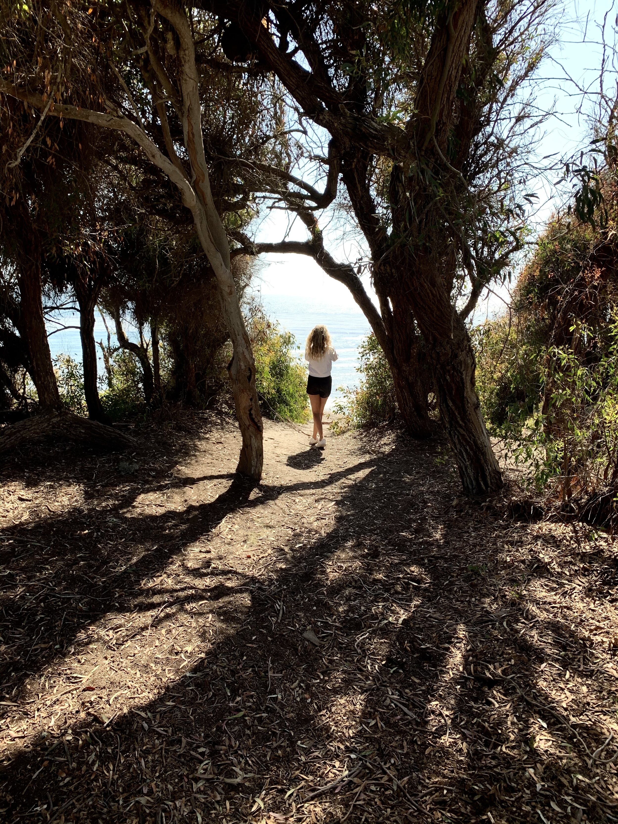  UCSB student Sierra van der Brug  looks out at the Pacific Ocean while taking a break from a bike ride on the coastal access path in Goleta, near Santa Barbara, Calif.  