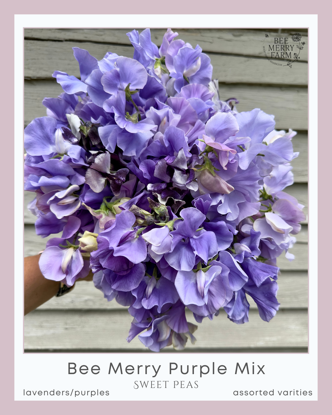 BM Purple Mix-1.png