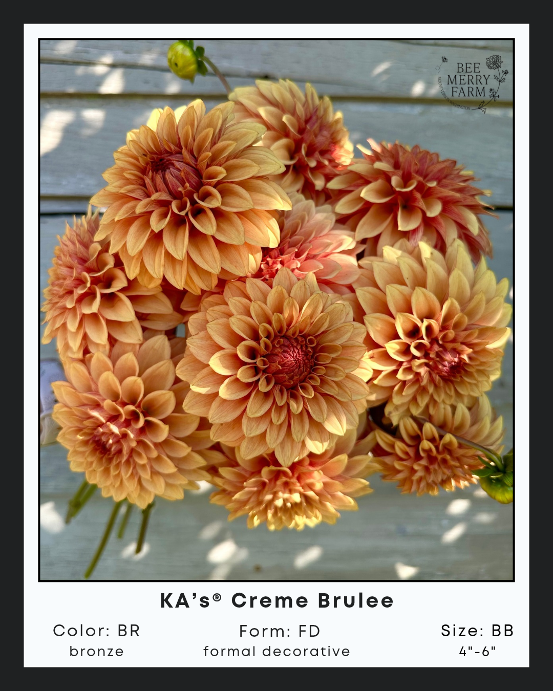 KAs Creme Brulee.png