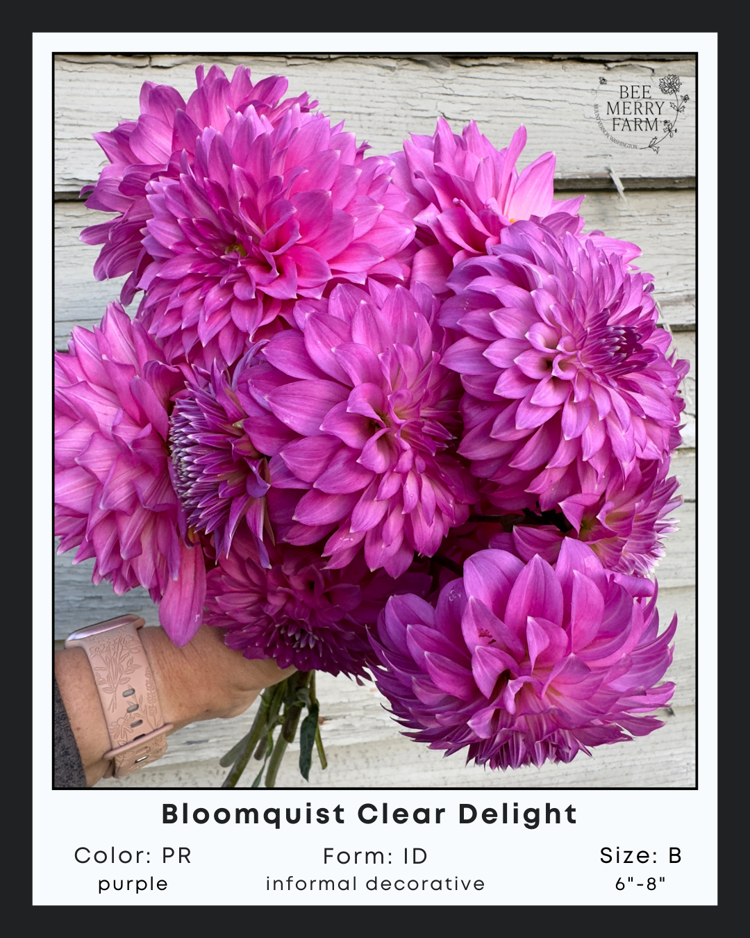 BQ Clear Delight-1.png