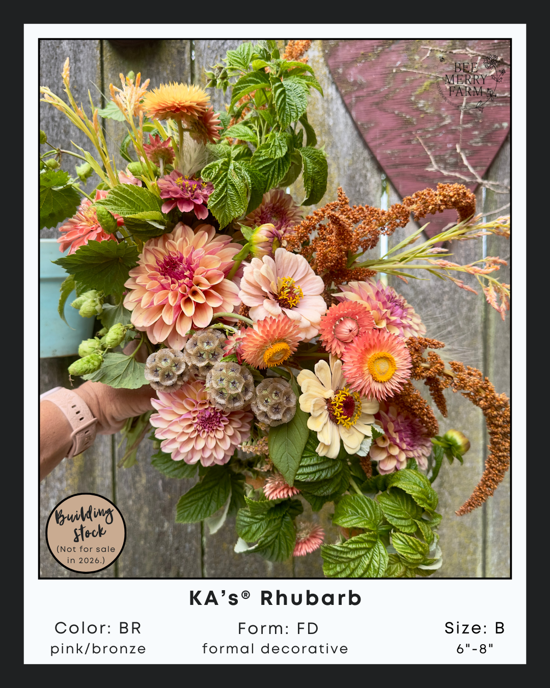 KA’s® Rhubarb