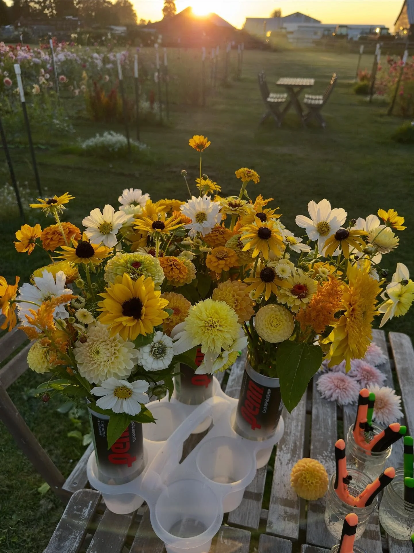 Sunset-kissed bouquets for the JV tennis team&rsquo;s Senior Night celebration. 💛 I love the orange cosmo standing tall in her tennis ball canister, like she&rsquo;s craning her neck so she doesn&rsquo;t miss a single moment of the setting sun. I&rs