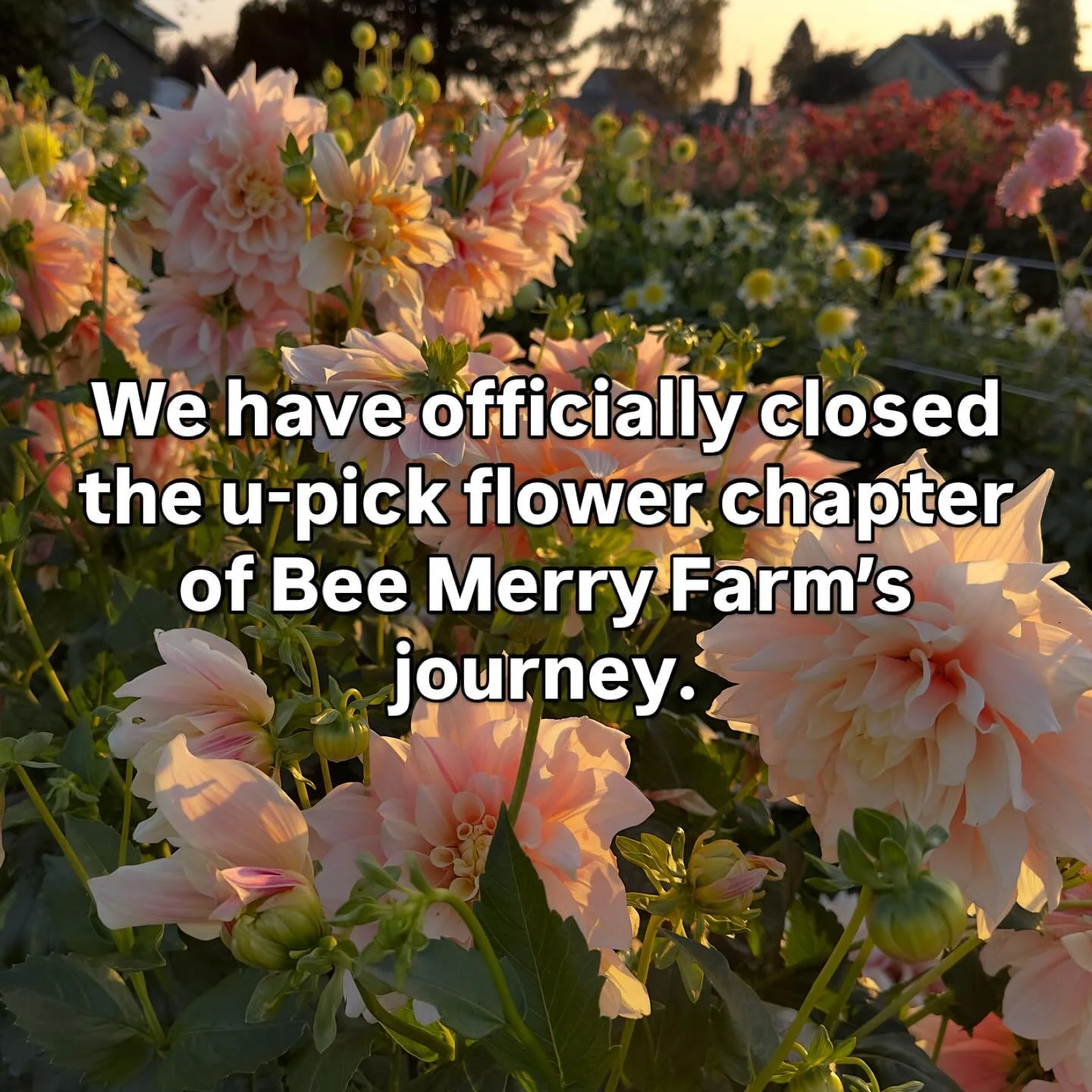 As the days get shorter and colder, I find myself starting the 10-day forecast refresh, obsessively watching for our first dip into freezing temperatures. Tevas have begrudgingly been swamped out for boots, shorts and tanks for waterproof overalls. I