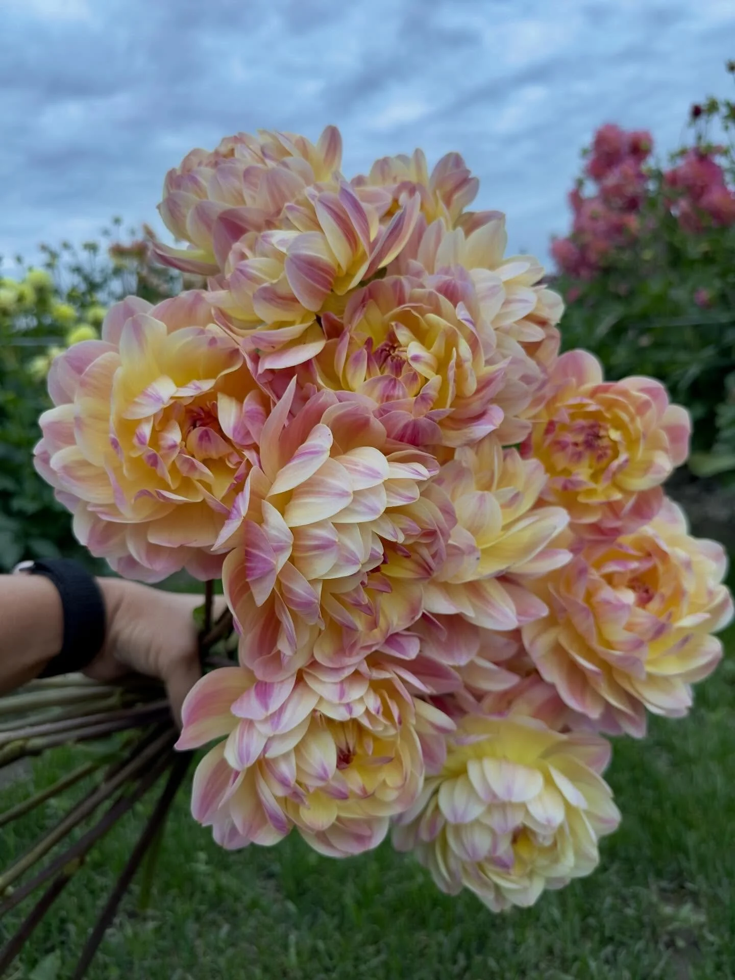 Last week I started, and promptly abandoned, a series of posts about decluttering. I had taken most of November off from posting because I didn&rsquo;t have the capacity for one more thing. Turns out I didn&rsquo;t have the capacity to commit to a se